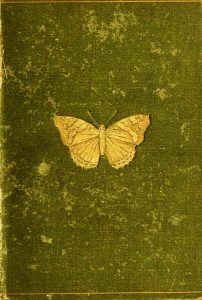 Butterflies and Moths by W. Furneaux