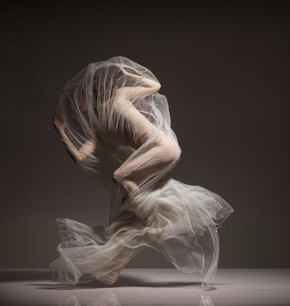 Art of Ballet by Lois Greenfield